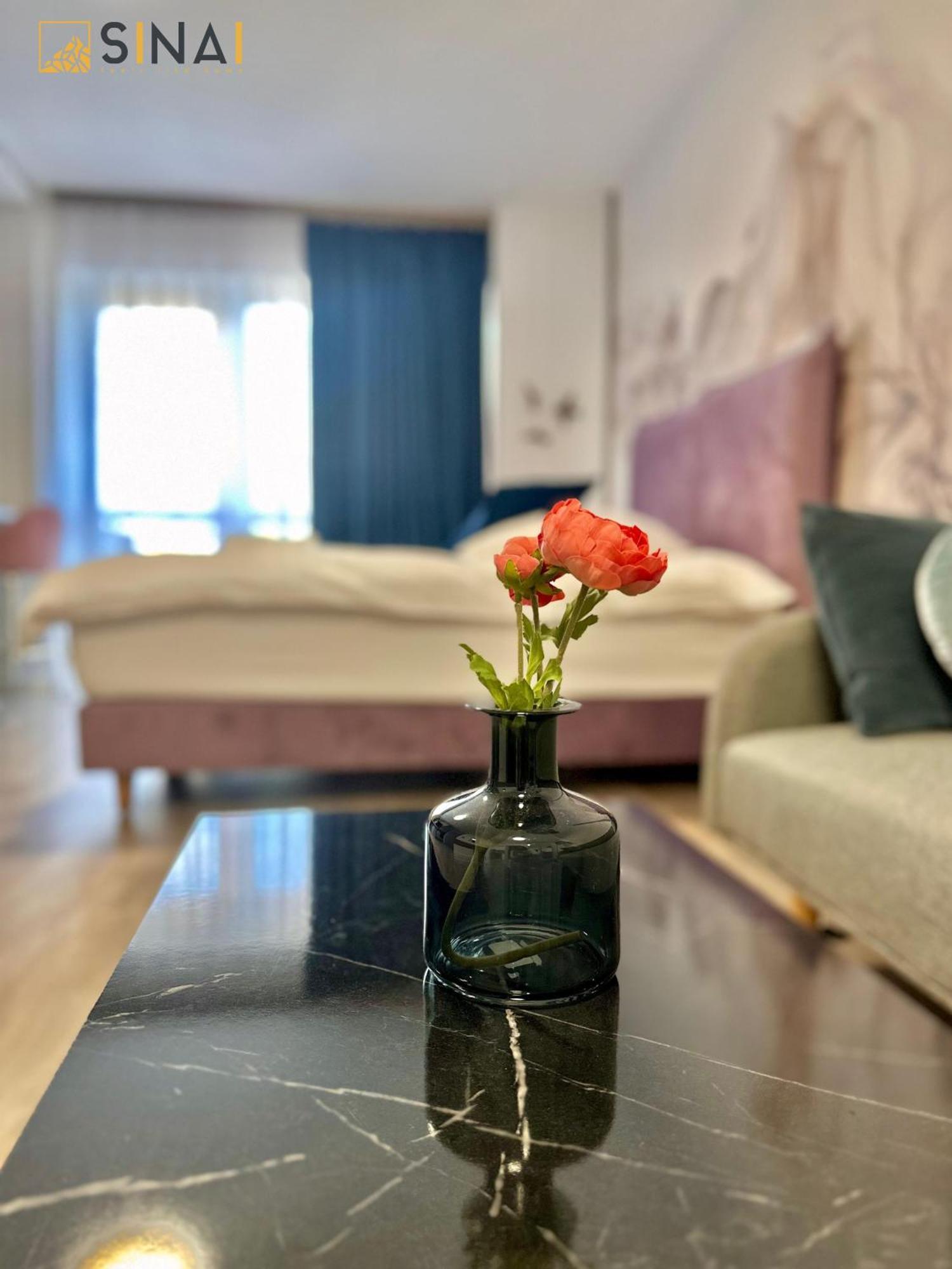Sinai Aph Apartments Sinaia Extérieur photo